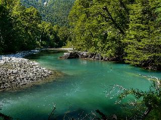 Discovering Los Pozones in Parque Nacional Los Alerces